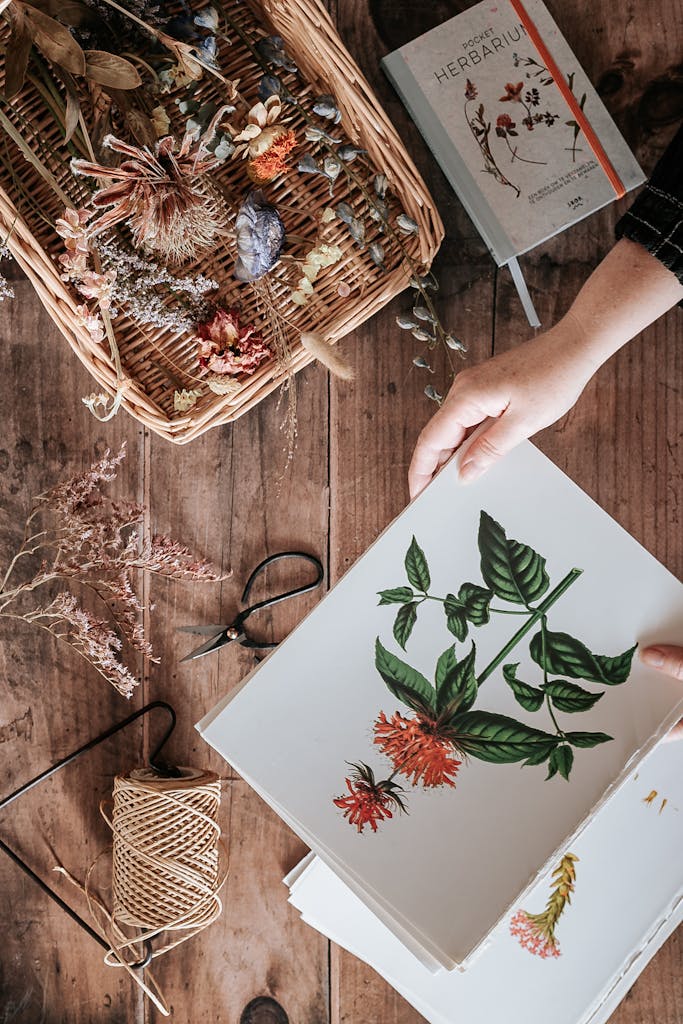 Nature study in Morning Time
