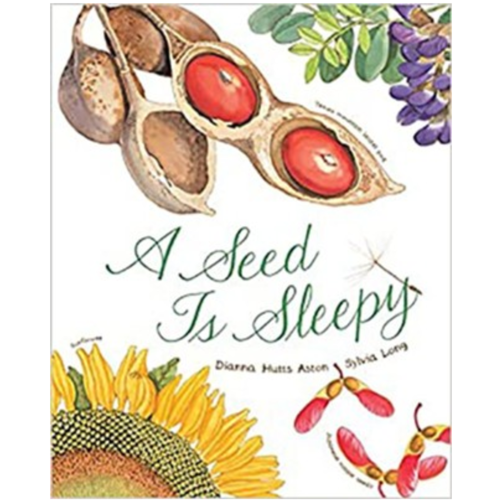 Summer Picture Books For homeschoolers Christian Homeschoolers