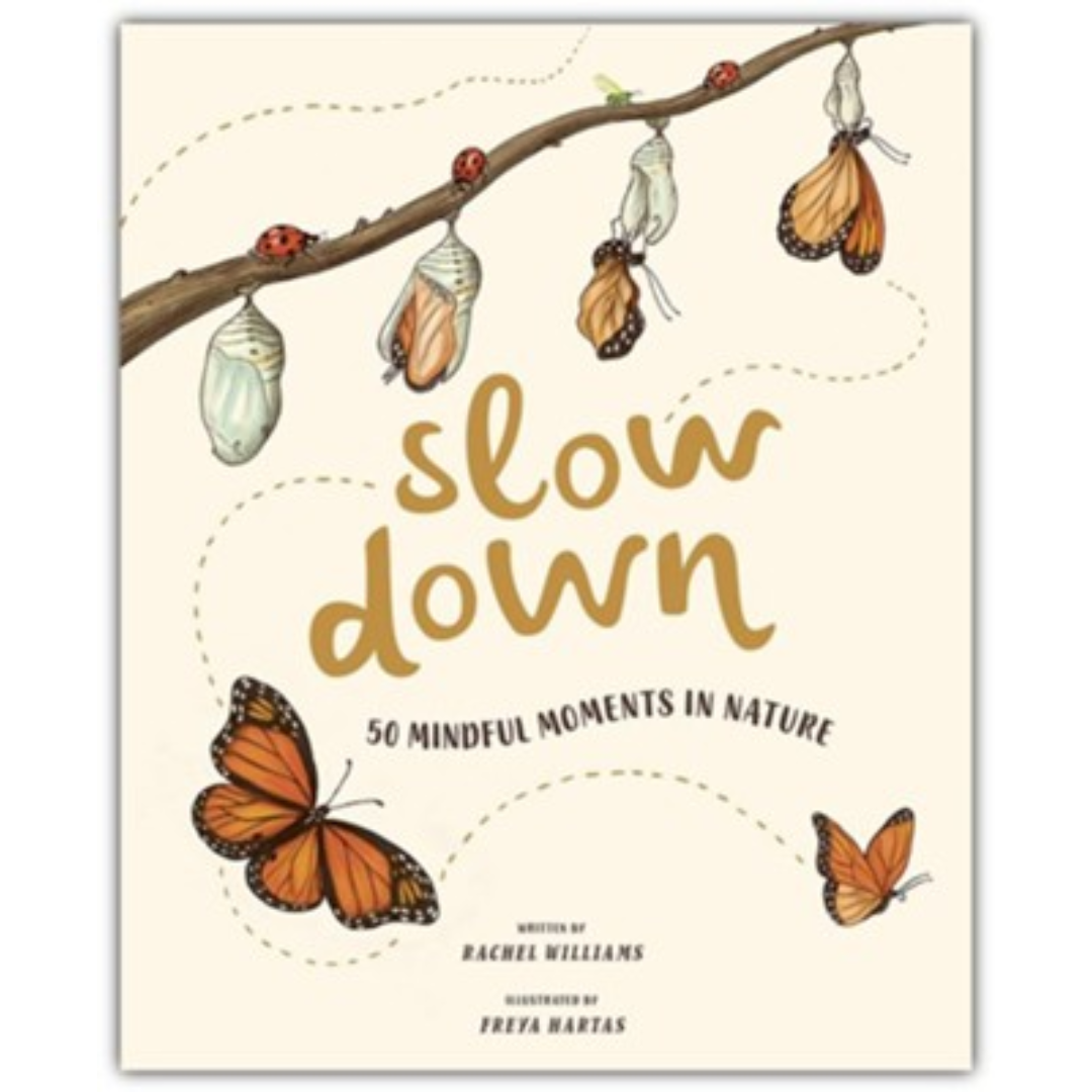 Picture books for preschool and Homeschool